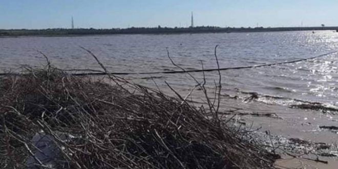 Israel pumps rainwater into Gaza farmland