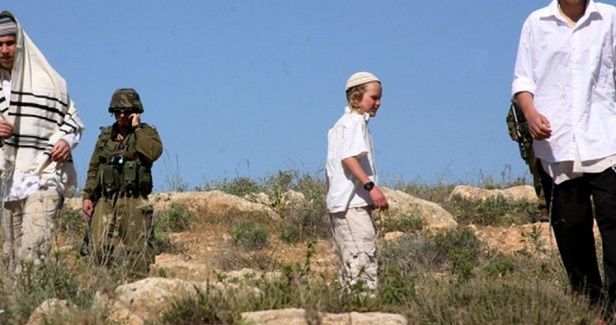 Palestinian farmer injured in settlers attack