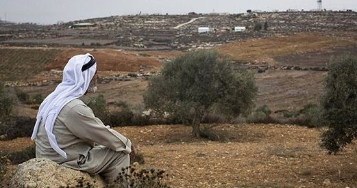 IOA to annex hundreds of dunums to build road for settlers