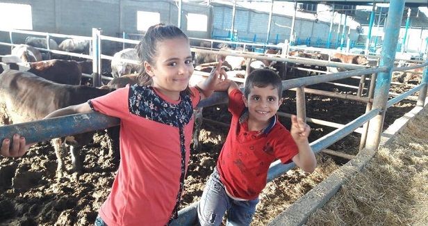 Eid al-Adha brings joy to the hearts of children