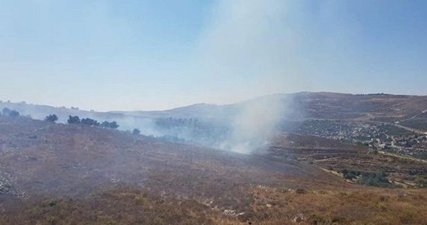 IOF arrests two minors west of Jenin