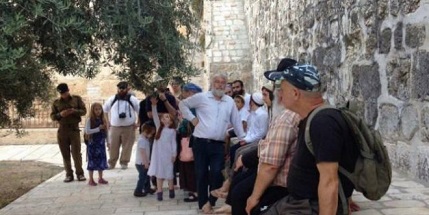 100 settlers enter Al-Aqsa mosque yards in midst of ongoing escalations