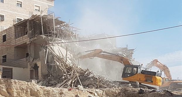 Report: IOF continue systematic crimes in the occupied Palestinian territory