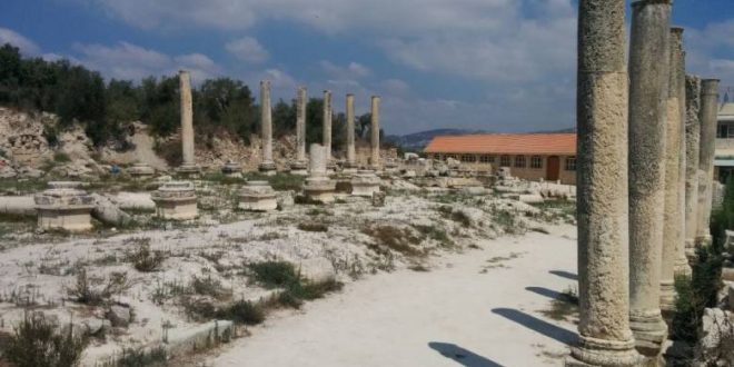 Settlers storm archaeological site in Sebastia, northern West Bank