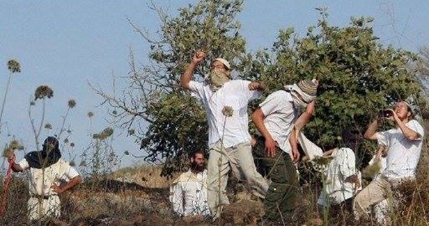 Jewish settlers attack Umm al-Khair hamlet in West Bank