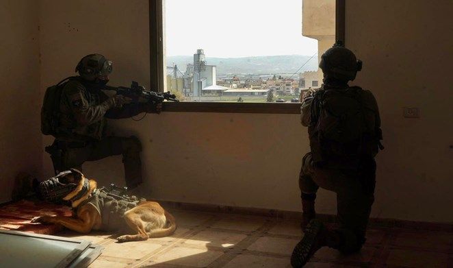 Five Palestinians wounded by IOF gunfire in Tulkarem camp -