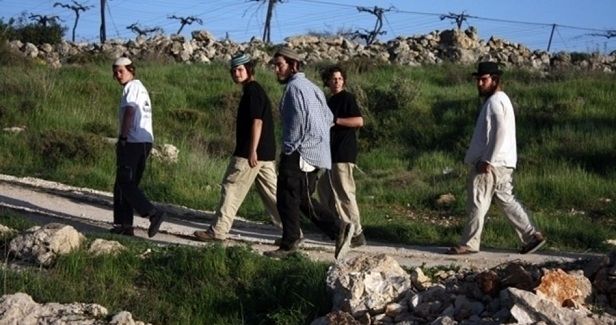 Israeli settlers terrorize Palestinians, assault property in Nablus