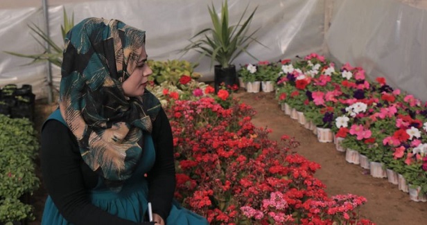 Gazan graduate challenges unemployment by planting flowers