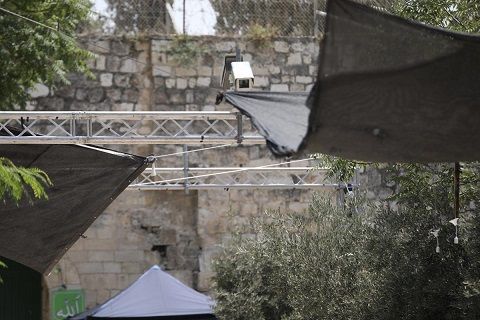 Palestine is no longer a priority for the Arab world