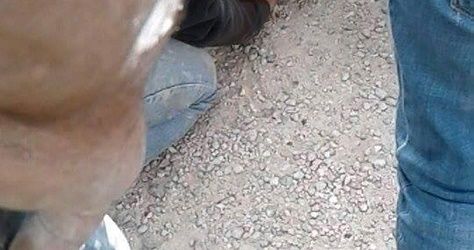 Palestinian child wounded in car-ramming attack by Israeli settler