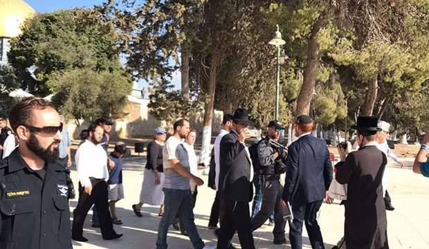 Jewish settlers defile Aqsa Mosque