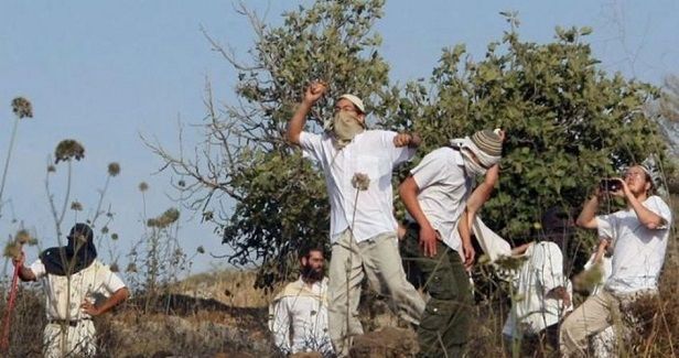 New settler attacks in Tulkarm