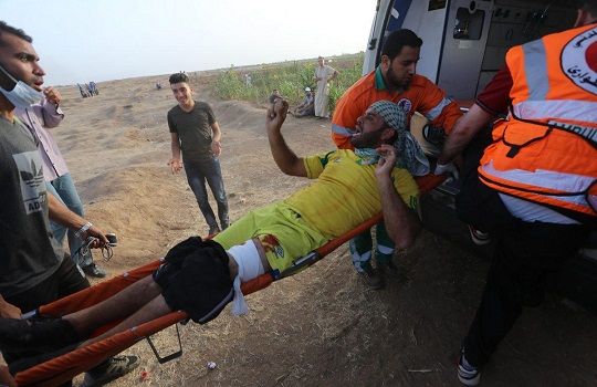 To the IARPP Board: what did Gaza mean to you?