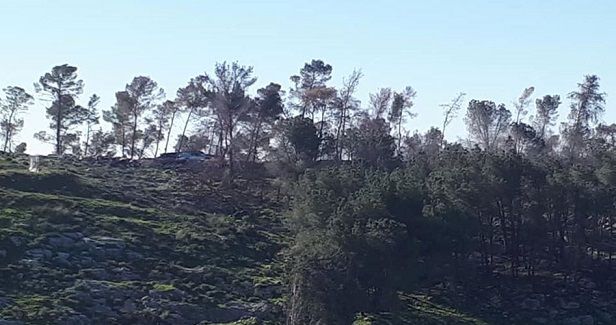 Jewish settlers seize shrubland near Palestinian village in Jenin