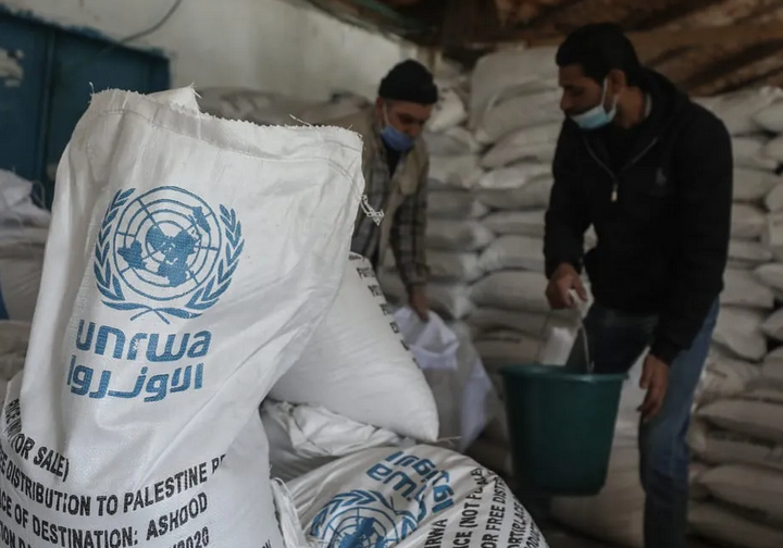 Palestinian factions call for UNRWA not to shift duties to host nations