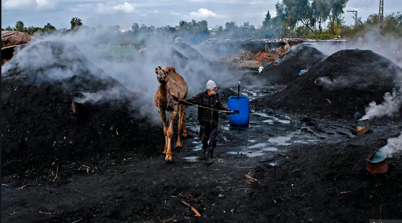For Gaza, relying on coal is the only way to survive the winter