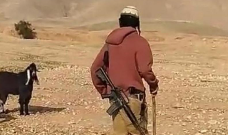 Settlers destroy cultivated fields in Masafer Yatta