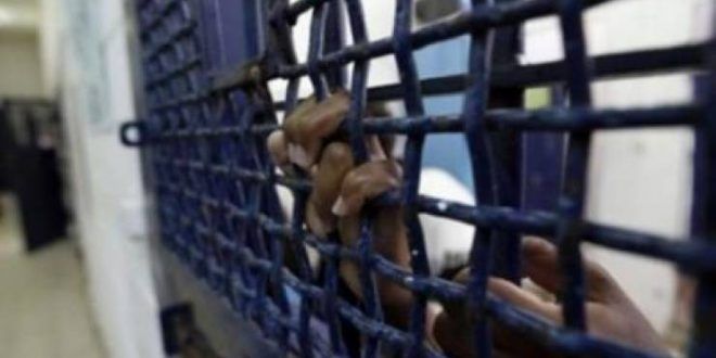 Prisoners return meals to demand handover of martyr Sayehs body