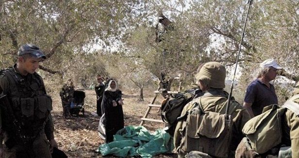 IOF assaults farmers and activists in as-Sawiya town