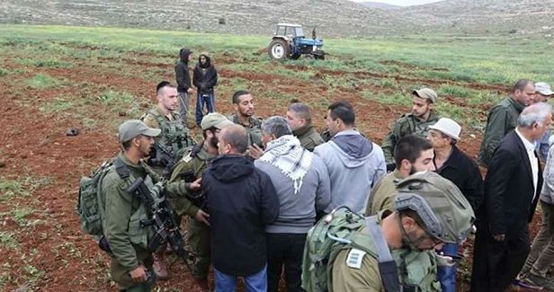 Jewish settlers uproot, steal dozens of trees in Masafer Yatta