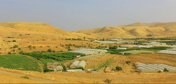 Furush Beit Dajan runs dry