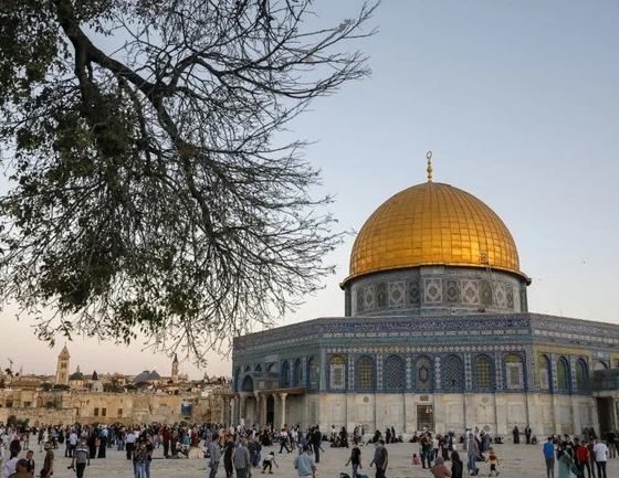 Opening Al-Aqsa mosque will limit tensions between Israel, Muslim world: Kushner