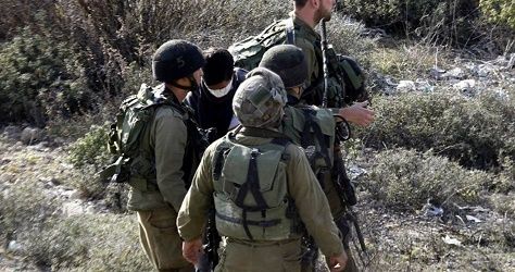 Arrests reported as IOF storms West Bank towns, cities