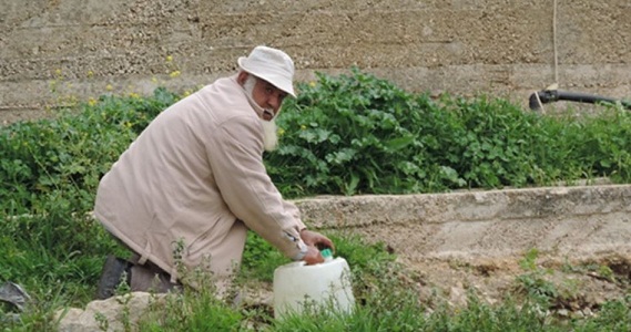 Symbol of steadfastness against settlement expansion