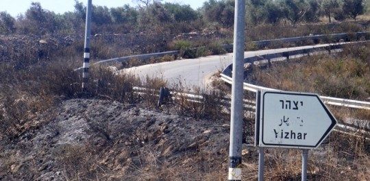 Israeli settlers raze Palestinian lands for settlement expansion