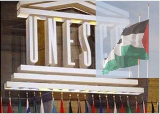 From the Hague's to UNESCO