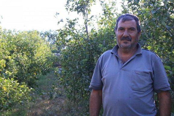 Danger from above: Gaza farmers struggle to save crops from Israeli planes