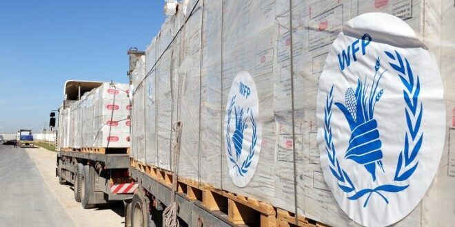 Canada and WFP help vulnerable Palestinian families overcome hardships in Gaza