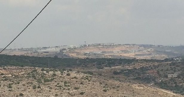 Palestinian grazing land devastated by Israel's settlement activity