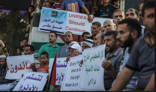 UN has a role in maintaining the constant status of Palestine refugees