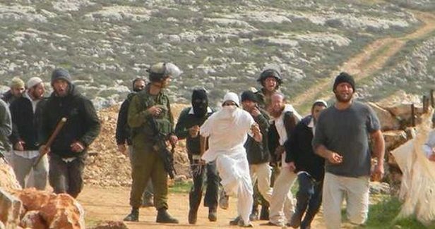 Settlers destroy olive trees, attack shepherds in Salfit