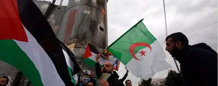 Official: Illegal Palestinian migrants have special status in Algeria