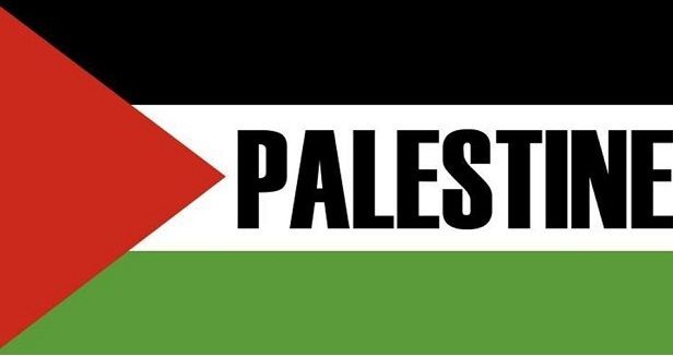 Biggest Failures and Successes in the History of the Palestine Issue