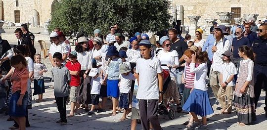 Mufti slams Jewish settlers� storming Al-Aqsa compound