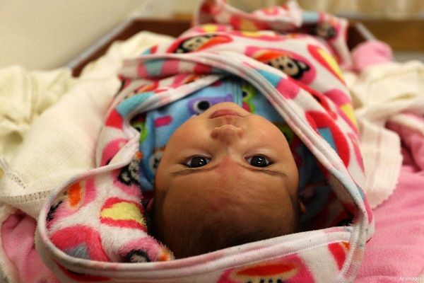 Gaza: 14,566 new births during third quarter