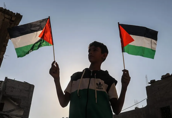 OIC challenged over failure to stand up for Palestinian Rights