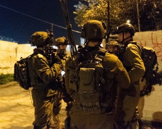 Israeli forces detain 2 Palestinians near Jericho
