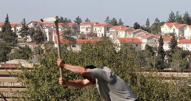 Expert warns of huge settlement project in West Bank