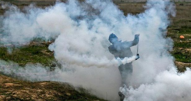 B�tselem: IOF killed eight unarmed Palestinian demonstrators in Gaza