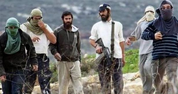 Settlers rebuild outpost in al-Khalil, steal olives in Salfit
