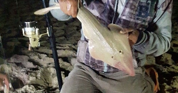 Baroud breaks the siege of Gaza by practicing his fishing hobby