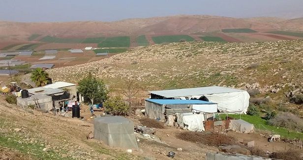 Israeli settlers attack Palestinian shepherds, steel sheep