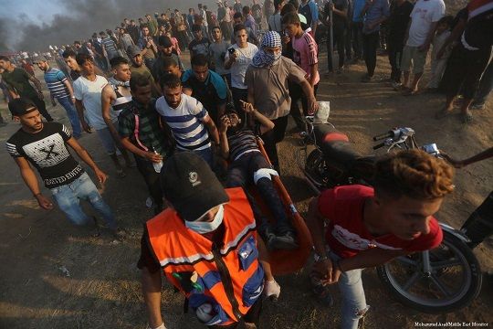 312 Palestinians killed by Israel in 2018