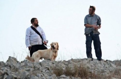 Settlers attempt to torch village mosque, south of Hebron