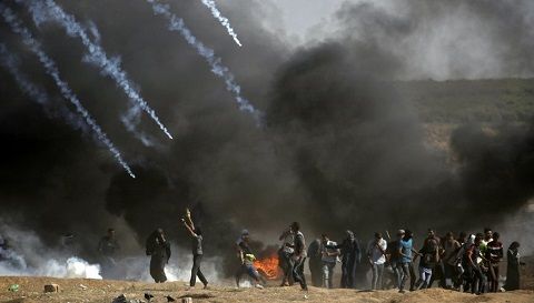 253 Palestinians were killed and 25,000 wounded in eight months