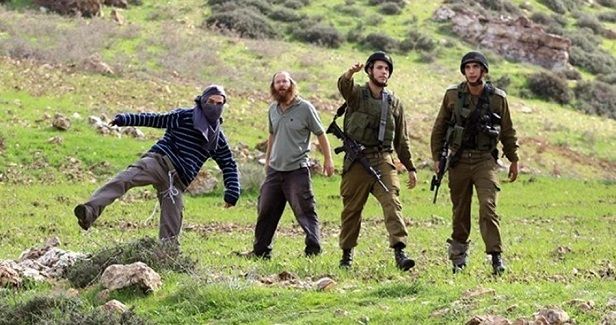 Jewish settlers steal 120 sheep near Jenin